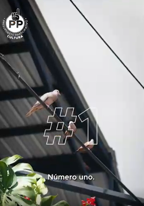 5 datos de la Comuna 13